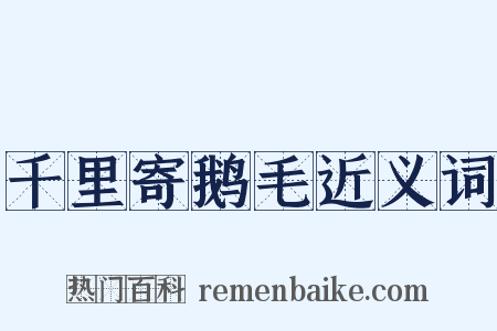 千里寄鹅毛近义词是什么意思的图片